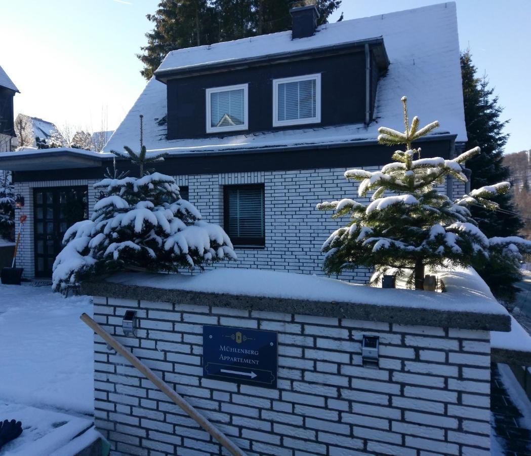 Apartment Muehlenberg Winterberg Bagian luar foto